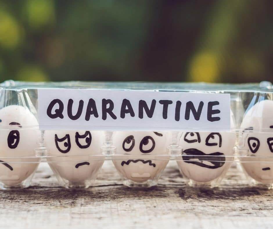 Stones with faces showing how introverts vs extroverts experience quarantine differently